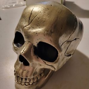 Skull plastic decoration